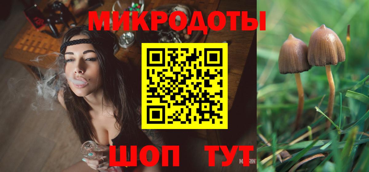 Галлюциногенные грибы мухоморы Бузулук